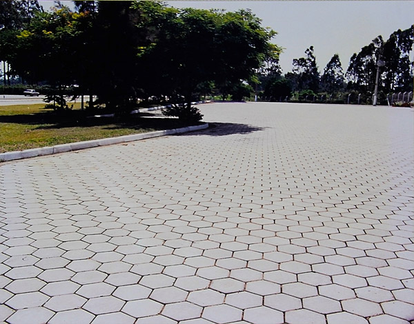 pavimentacao_sextavado_02